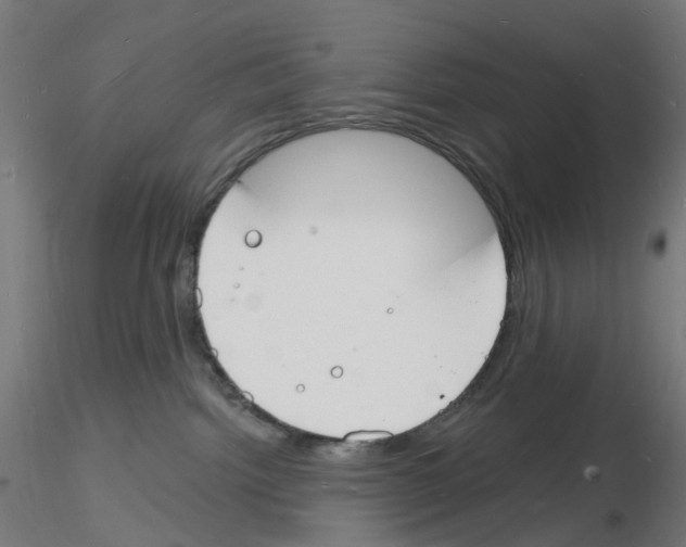 X0000116130092201001041020