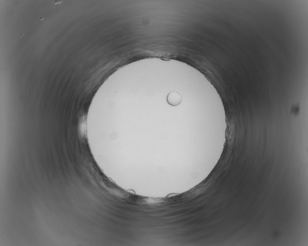 X0000116130095201001041020