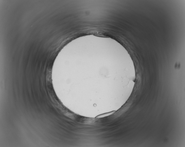 X0000116130096201001041020
