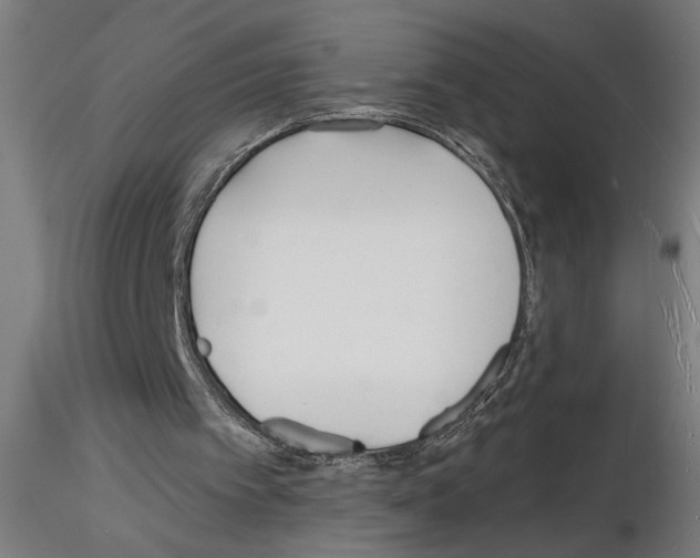 X0000116130097201001041020