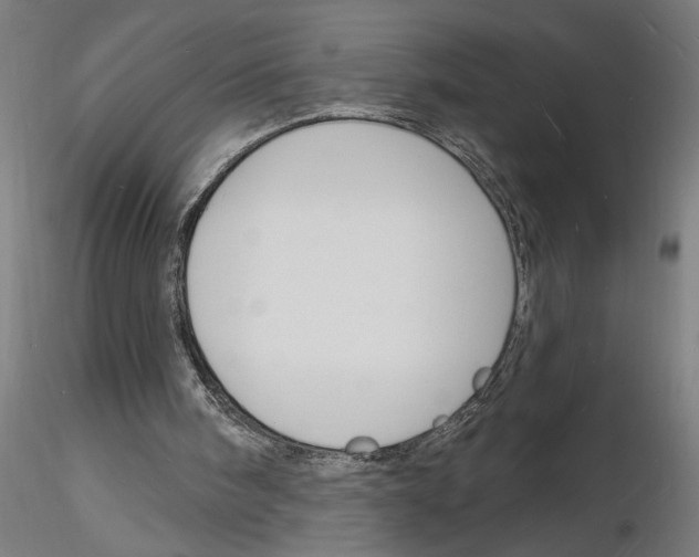 X0000116130098201001041020