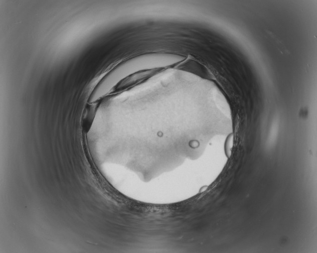 X0000116130099201001041020