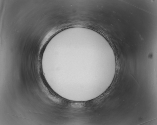 X0000116130102201001041020