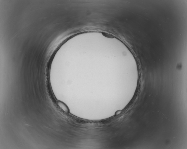 X0000116130103201001041020