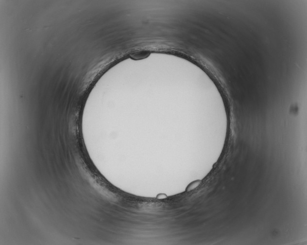 X0000116130105201001041020