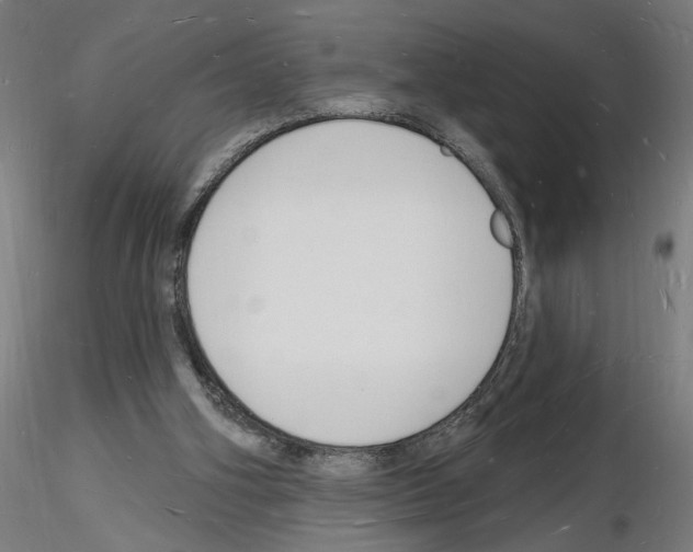 X0000116130106201001041020