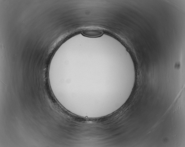 X0000116130111201001041020
