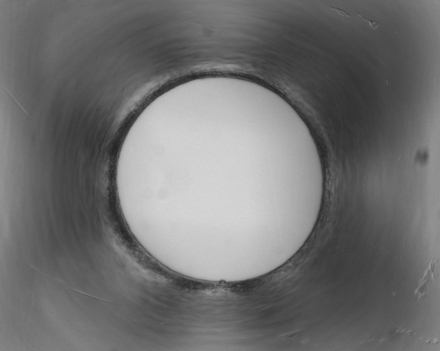 X0000116130112201001041020