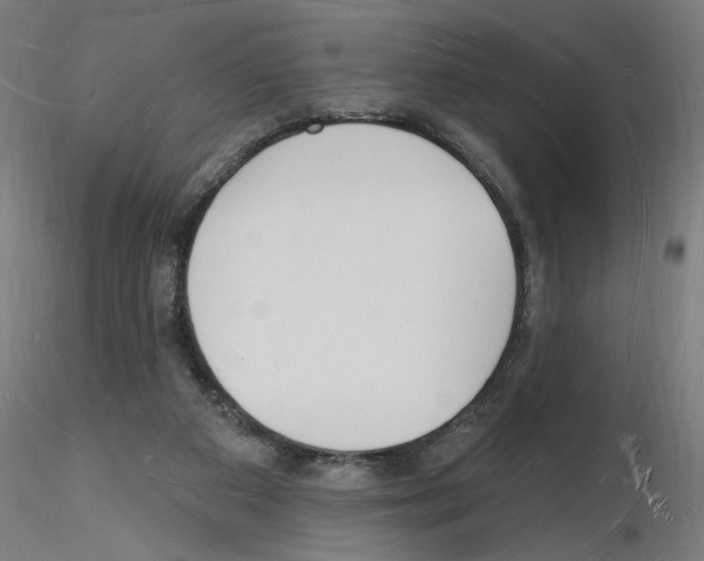 X0000116130113201001041020
