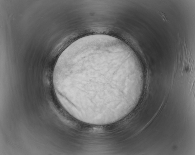 X0000116130114201001041020