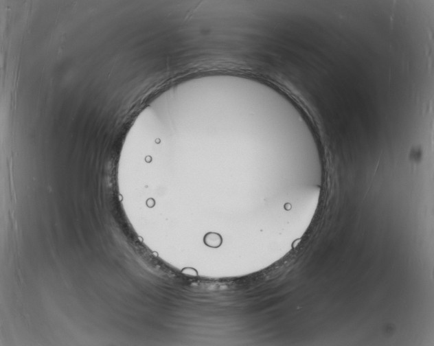 X0000116130117201001041019