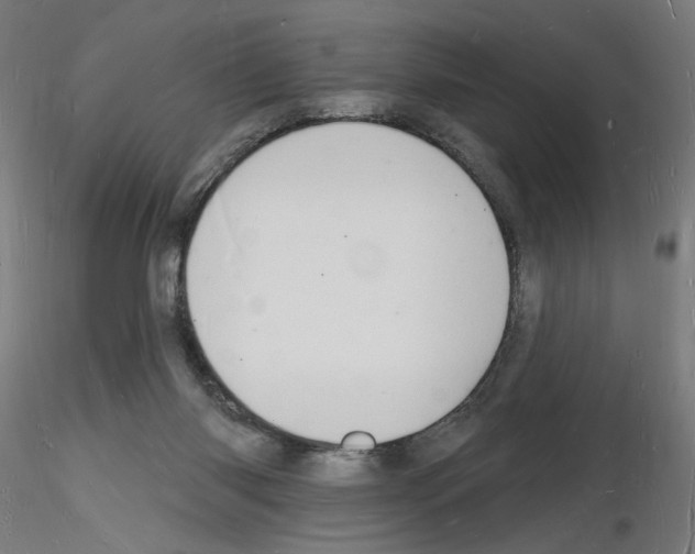X0000116130118201001041019