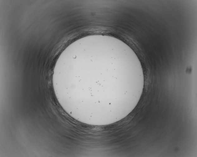 X0000116130119201001041019