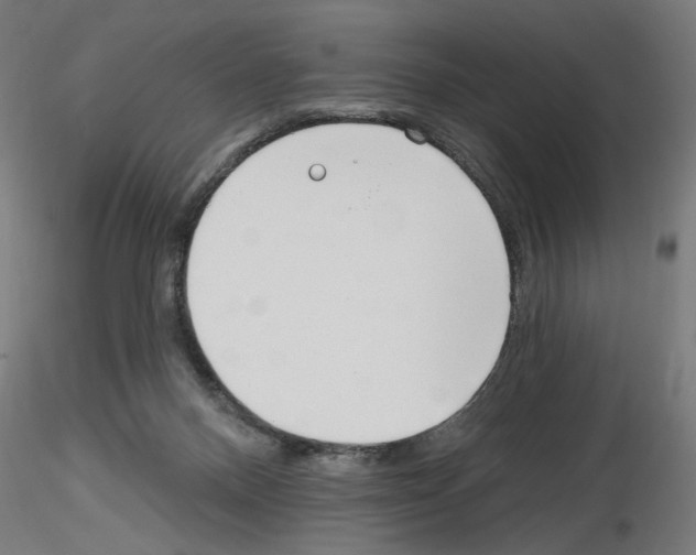 X0000116130120201001041019