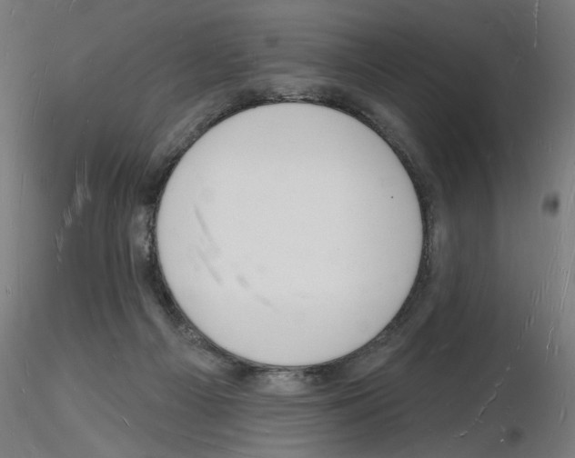 X0000116130121201001041019