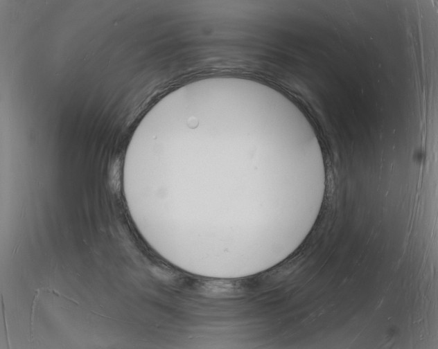 X0000116130123201001041019