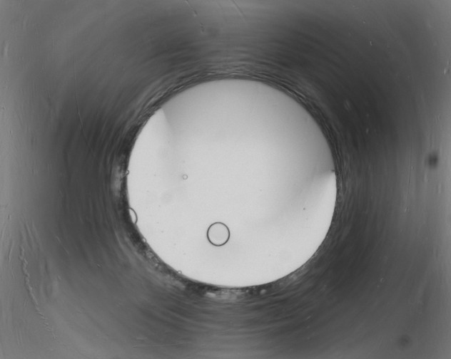 X0000116130124201001041019