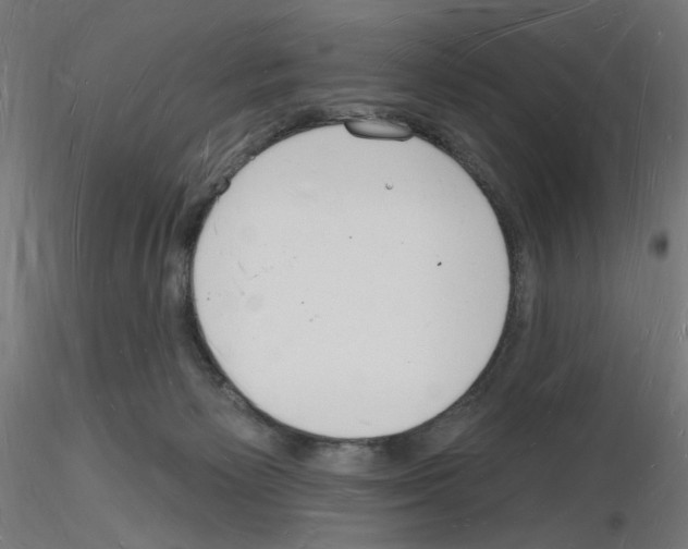 X0000116130125201001041019