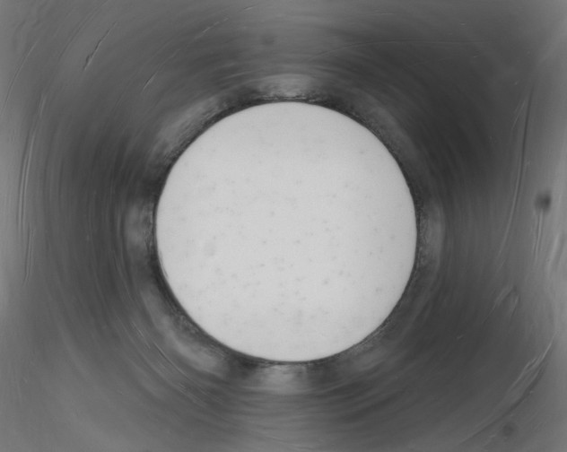 X0000116130126201001041019