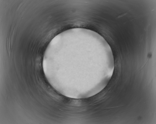 X0000116130127201001041019