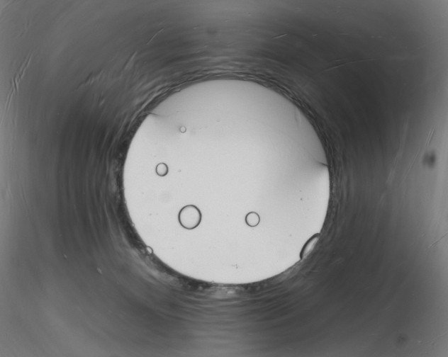 X0000116130128201001041019