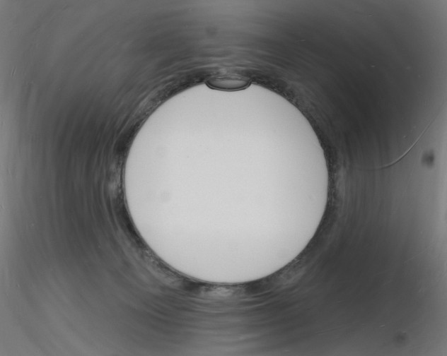 X0000116130129201001041019
