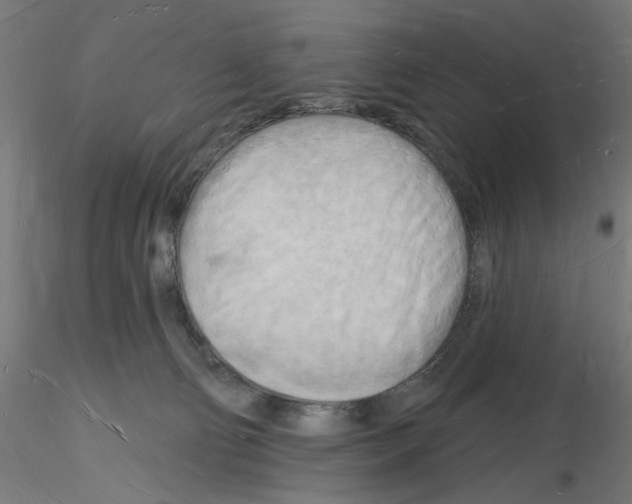 X0000116130130201001041019