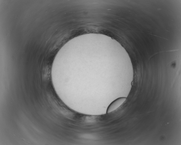 X0000116130134201001041019