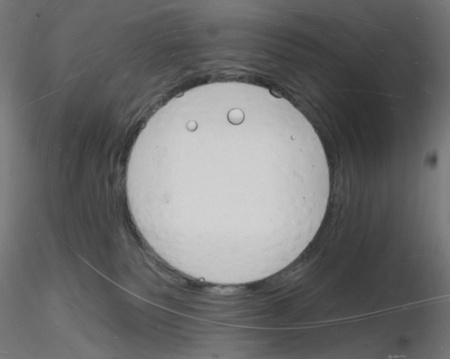 X0000116130135201001041019