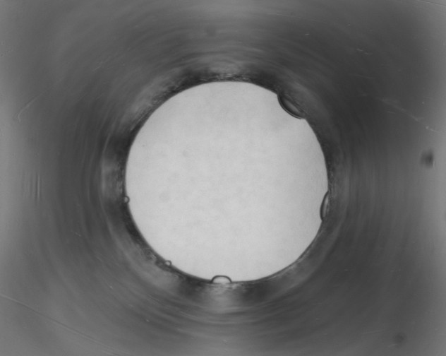 X0000116130136201001041019