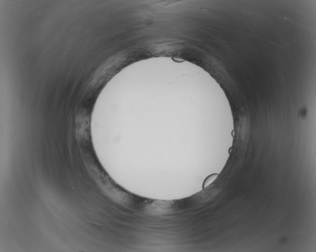 X0000116130138201001041019