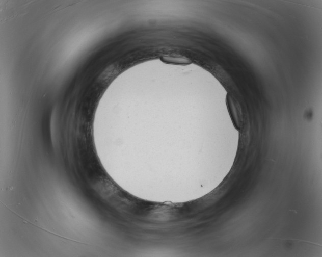 X0000116130140201001041019