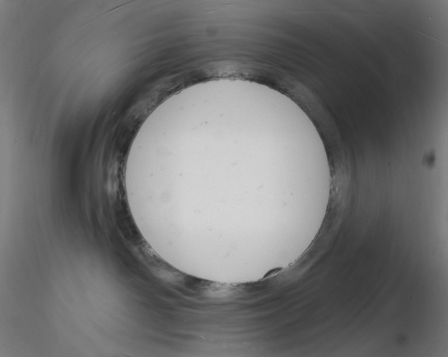 X0000116130142201001041019