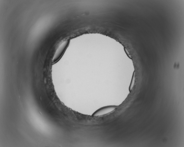 X0000116130144201001041019