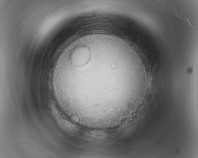 X0000116130146201001041018