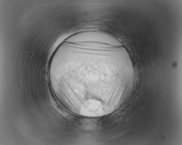 X0000116130147201001041018