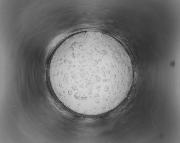 X0000116130149201001041019