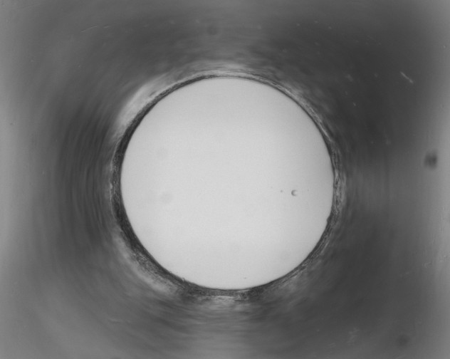 X0000116130151201001041019