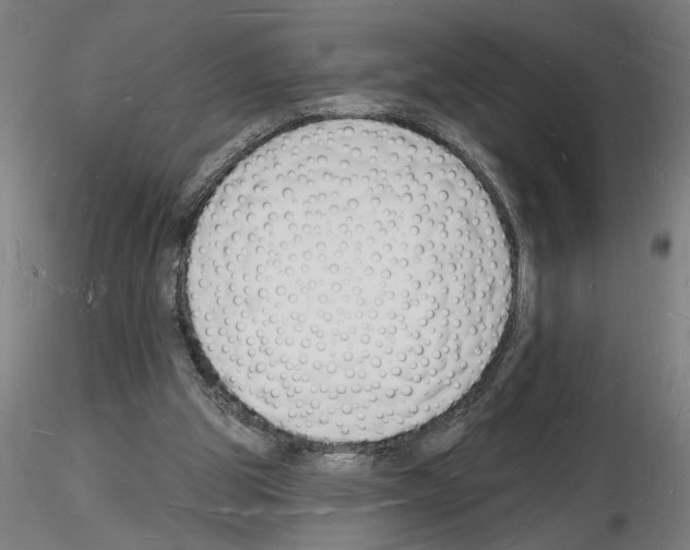 X0000116130153201001041019