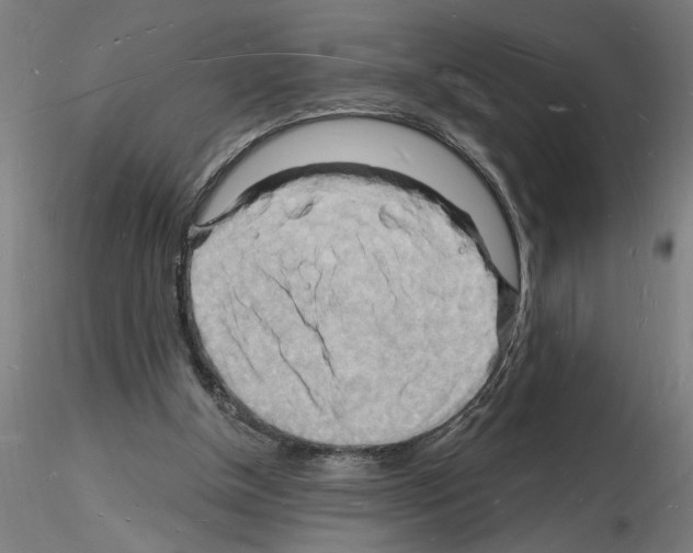 X0000116130154201001041019