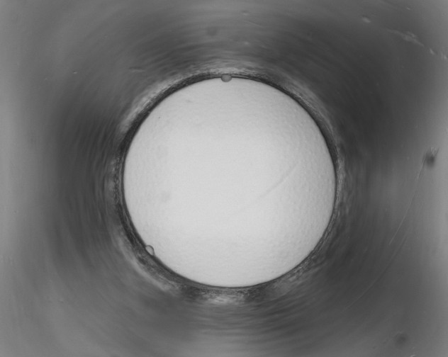 X0000116130155201001041019