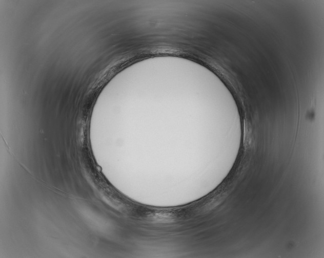 X0000116130157201001041019