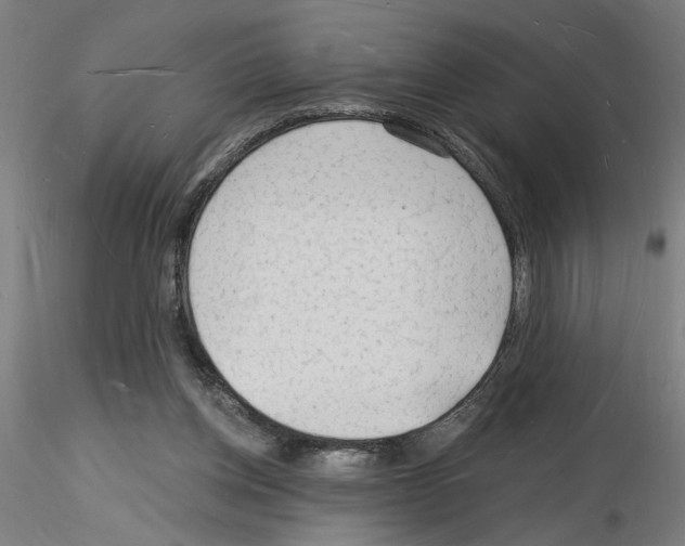 X0000116130158201001041019
