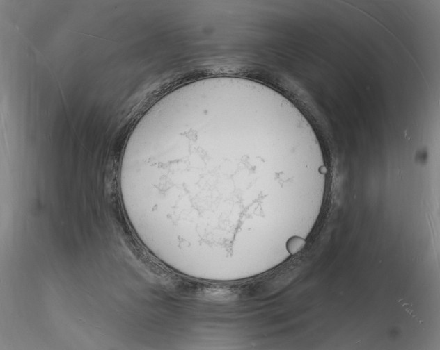 X0000116130161201001041019