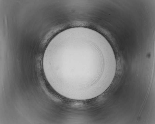 X0000116130162201001041019