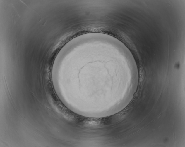 X0000116130163201001041019