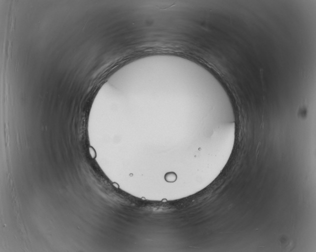 X0000116130165201001041019