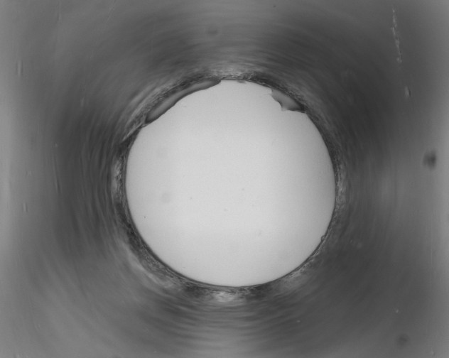 X0000116130166201001041019