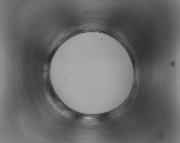 X0000116130167201001041019