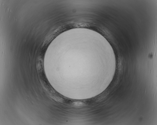 X0000116130169201001041019
